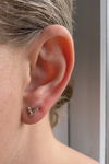 Hummingbird stud earrings 