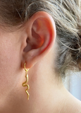 Snake earrings 